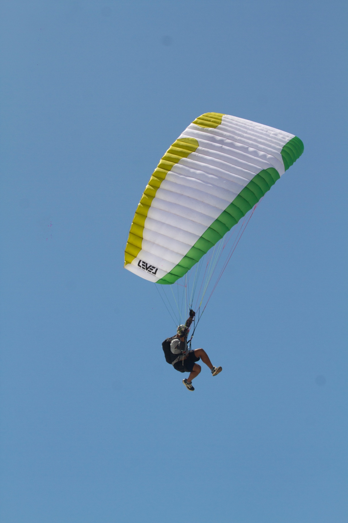 Speedfry gallery image 8