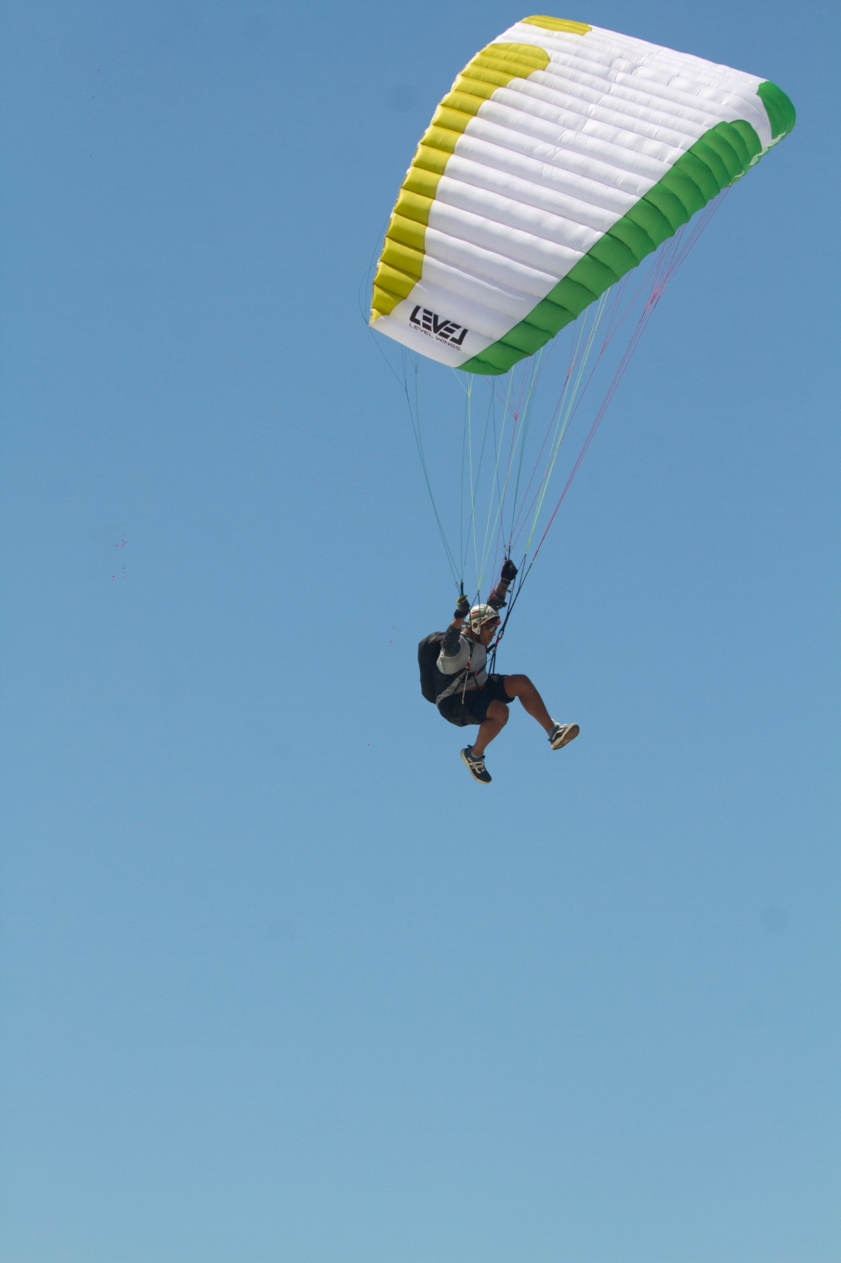 Speedfry gallery image 6